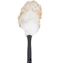 Duster brush